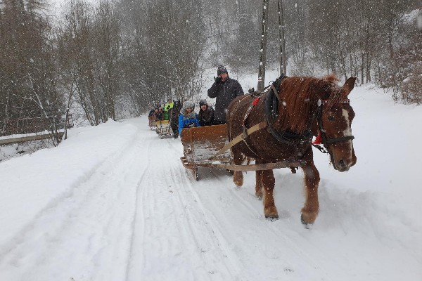 Kulig dla dzieci i młodzieży - Szczawa 22.01.2022