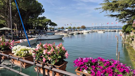 Zdjęcie WhatsApp 2025-09-26 o 09.10.18_4f2bbaf3.jpg