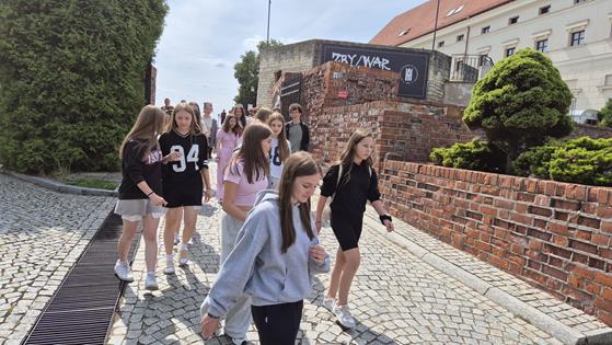 Zdjęcie WhatsApp 2025-09-26 o 09.14.38_d384c23b.jpg