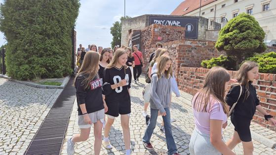 Zdjęcie WhatsApp 2025-09-26 o 09.14.38_b92411fd.jpg