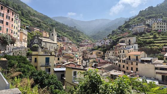 Zdjęcie WhatsApp 2025-09-26 o 09.10.19_02bebf01.jpg