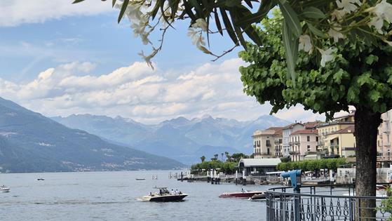 Zdjęcie WhatsApp 2025-09-26 o 09.10.19_656f5110.jpg